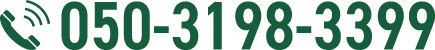 050-3198-3399